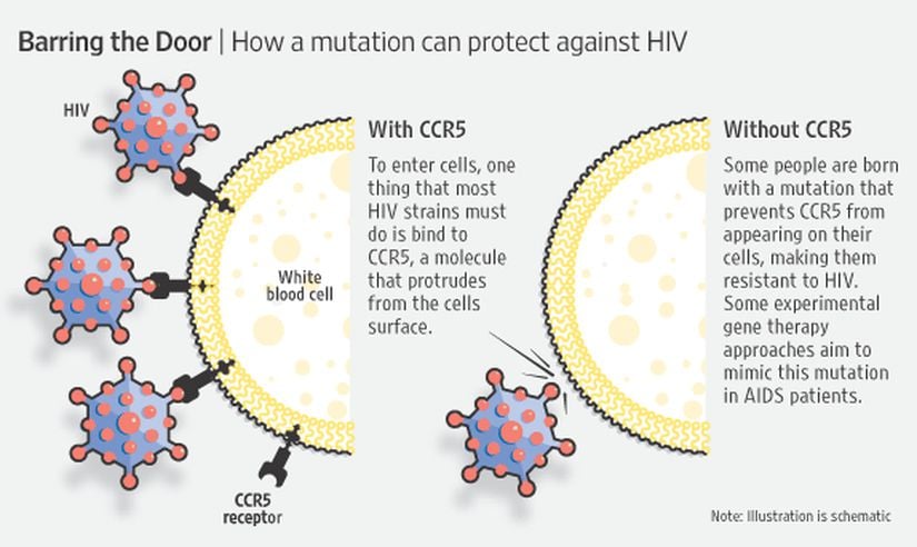 HIV'in hücreye girişinin engellenmesini resmeden bir görsel.