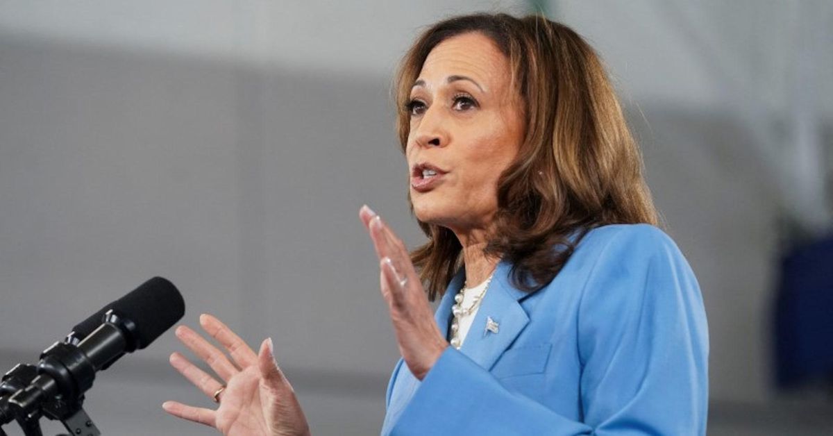 Kamala Harris Charges Into 2024 Campaign Trail The Pinnacle Gazette