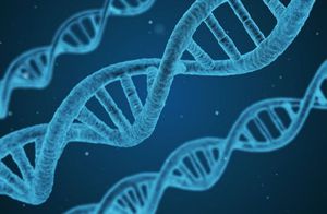 Genlerin Değişimi Nasıl Olur ve Evrim Buna Bağlı Olarak Nasıl Gerçekleşir?