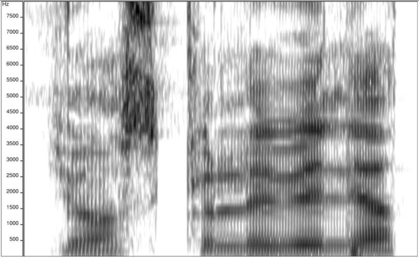 Bir spektogram örneği.