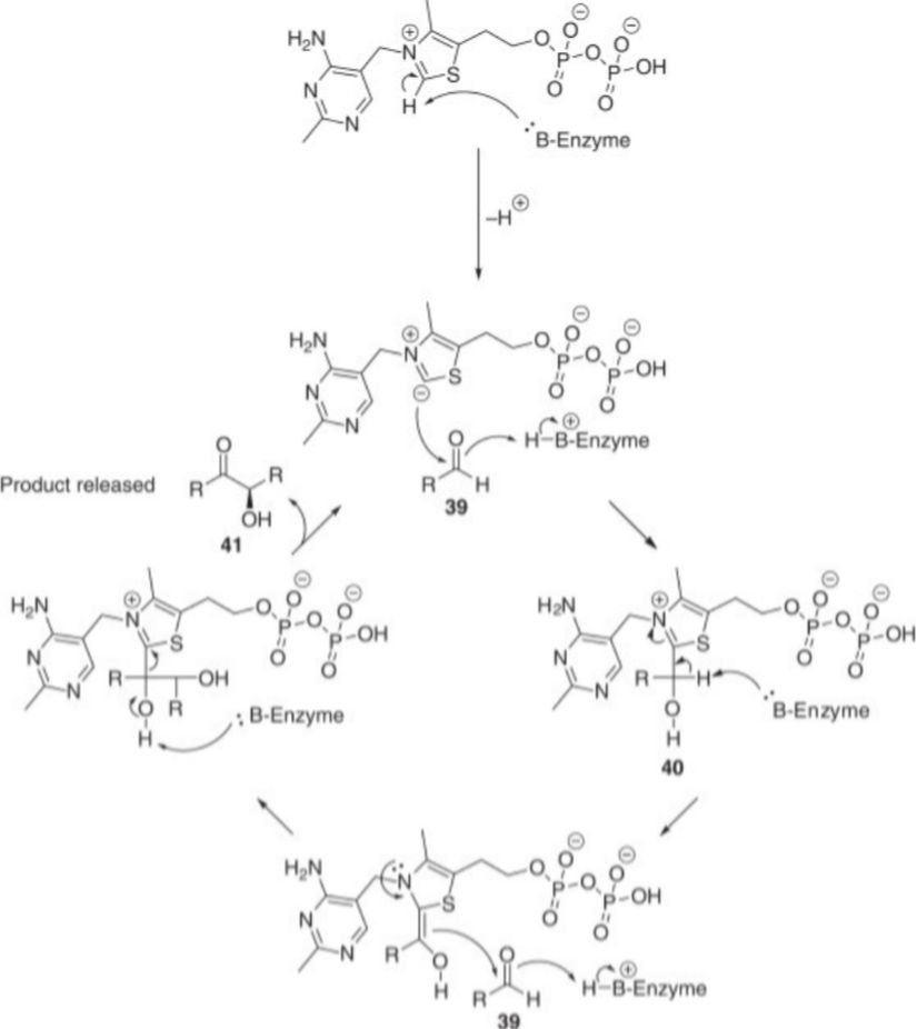 Görsel 6: Pirüvat dekarboksilaz enzimi
