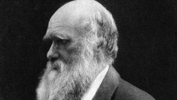 Charles Robert Darwin Kimdir? Ne Yapmıştır? Kendi Ağzından Yaşam Öyküsü...