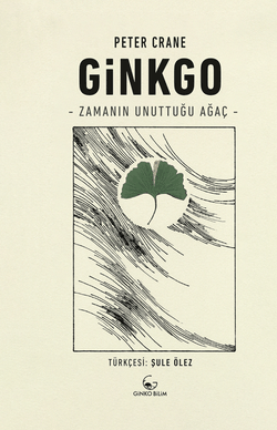 Zamanın Unuttuğu Ağaç: Ginkgo