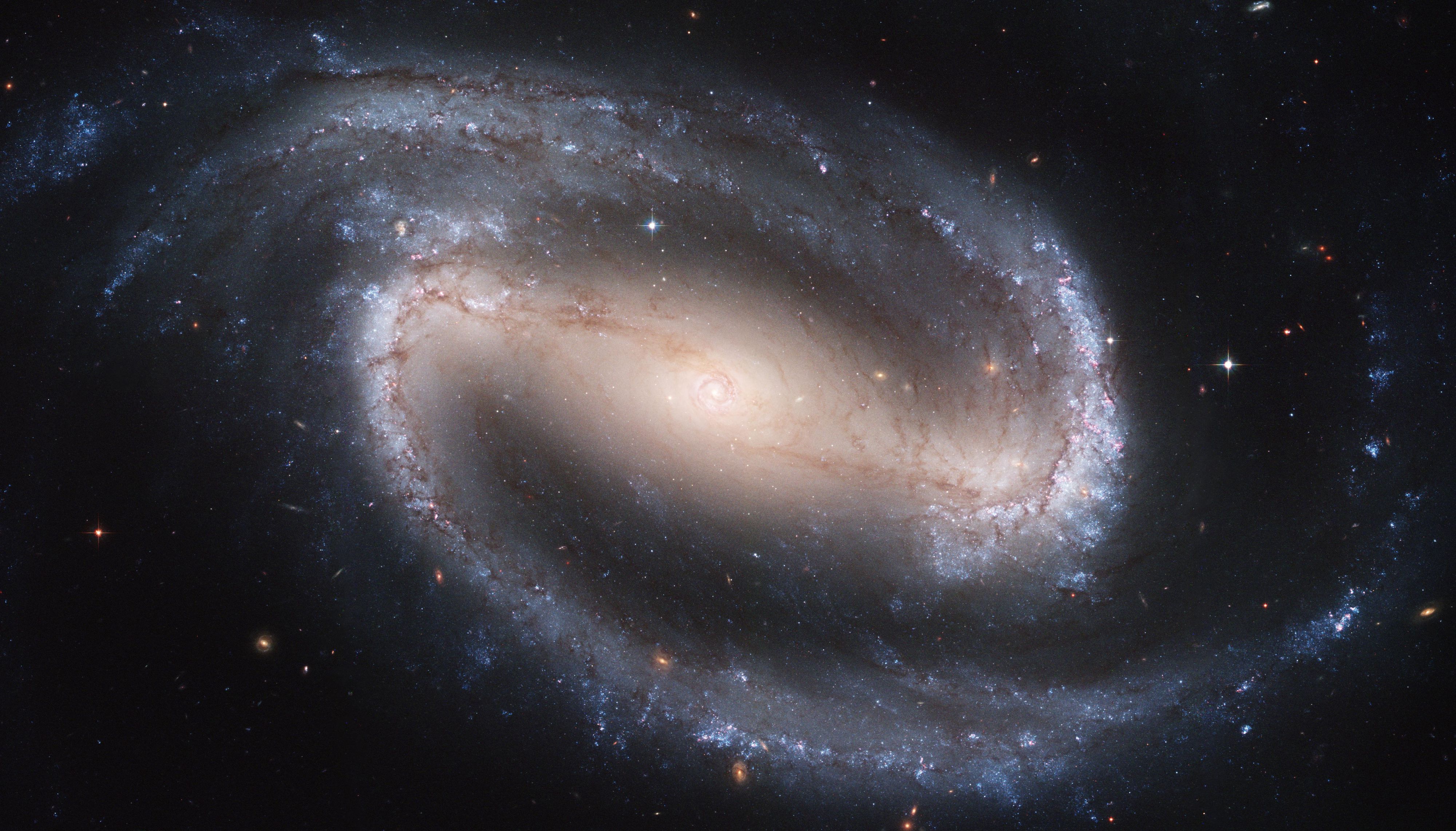  Barred Spiral Galaxy NGC 1300 