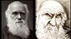 Charles Darwin'in de "Ergen Tripleri" Attığı Berbat Günleri Olmuştu!