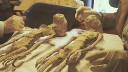 2016'da Peru'da Keşfedilen "Uzaylı" Mumyaları, Yağmalanmış İnsan Vücudu Parçalarından Oluşuyor!