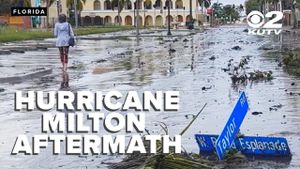 Hurricane Milton Triggers Alligator Sightings And National Guard Response