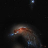 Arp 142: Sinekkuşu Galaksisi