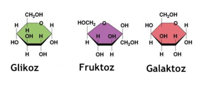 Görsel 9: Glikoz, fruktoz ve galaktoz en bilinen basit şekelerdir.