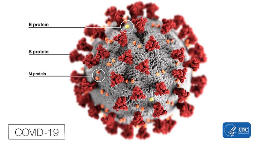 Koronavirüs morfolojisinin 3D illüstrasyonu.