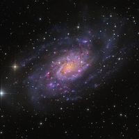  NGC 2403 in Camelopardalis 