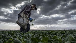 Farmers Battle Extreme Weather And Financial Stress