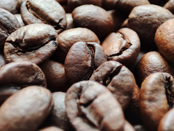 Arabica Kahvesi 600.000 Yıl Önce Etiyopya'da Ortaya Çıktı!