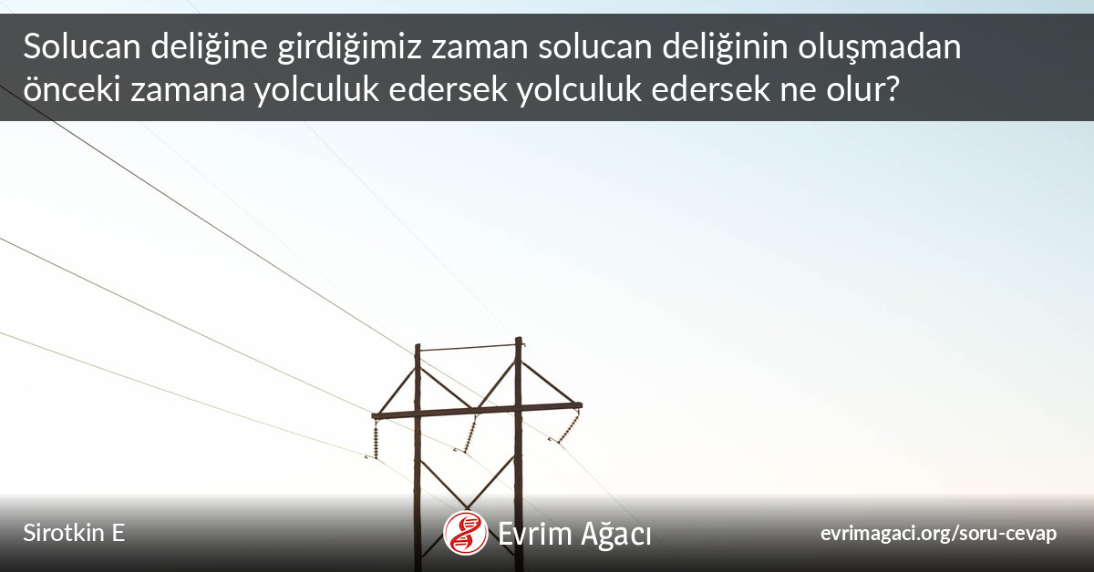 Solucan Deligine Girdigimiz Zaman Solucan Deliginin Olusmadan Onceki Zamana Yolculuk Edersek Yolculuk Edersek Ne Olur Soru Cevap Evrim Agaci