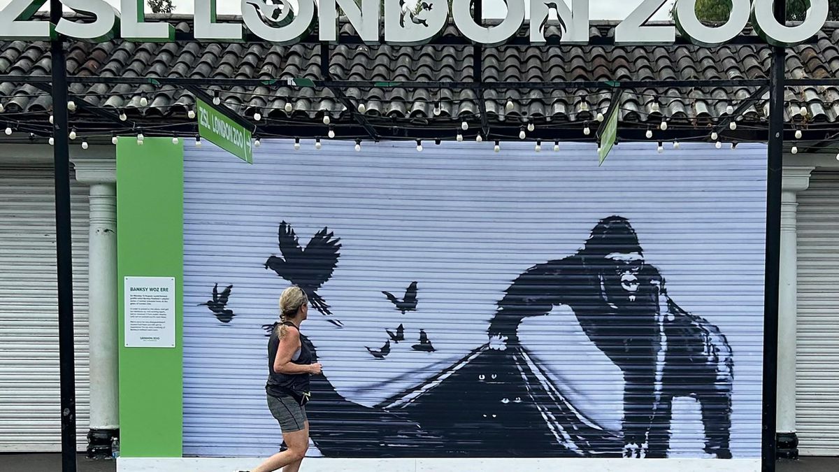 London Zoo protects Banksy’s mural by removing it from public view