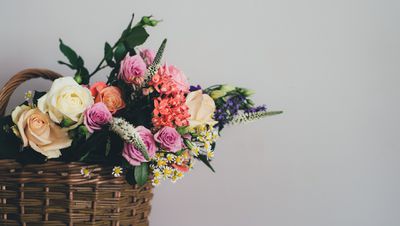 Kesilmiş Çiçekleri, Bilimi Kullanarak Nasıl Daha Canlı Gösterebilirsiniz?