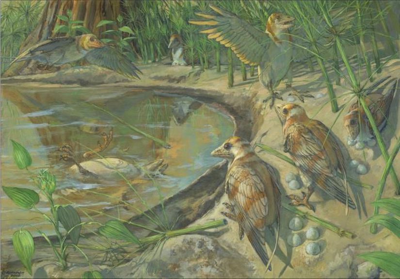 Karnında yumurtası ile sol tarafta, su yüzeyinde ölmüş anne Avimaia schweitzerae türünün illüstrasyonu. Olayların nasıl geliştiği resmedilmeye çalışılmış.