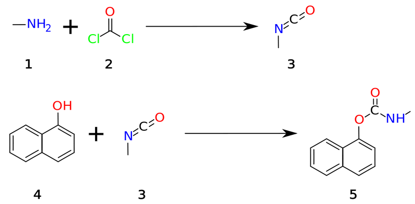 Bhopal'de tesisindeki karbaril üretim yöntemi. Önce metilamin (1) ve fosgen (2) tepkimeye sokularak metil izosiyanat (3) elde ediliyordu. İkinci aşamadaysa elde edilen metil izosiyanat, naftol (4) ile tepkimeye girerek karbarili (5) üretiyordu.