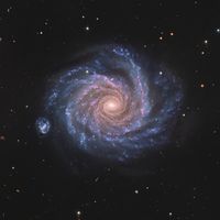 NGC 1232'ye Bakış