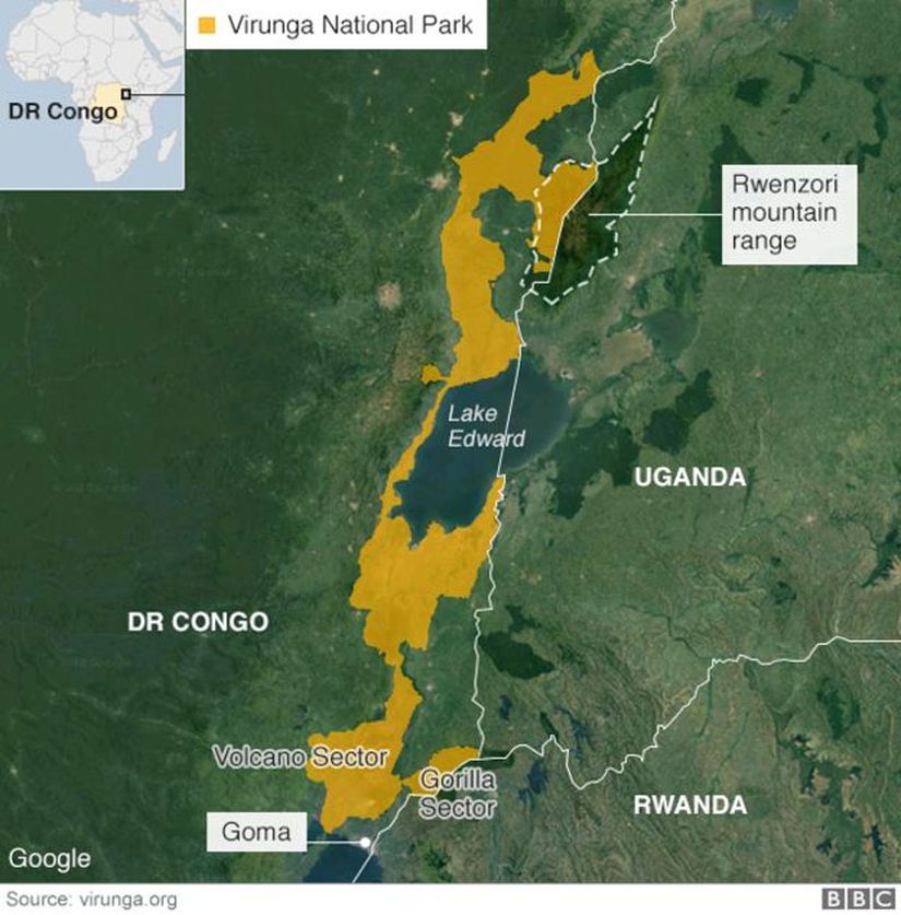 Virunga Ulusal Parkı