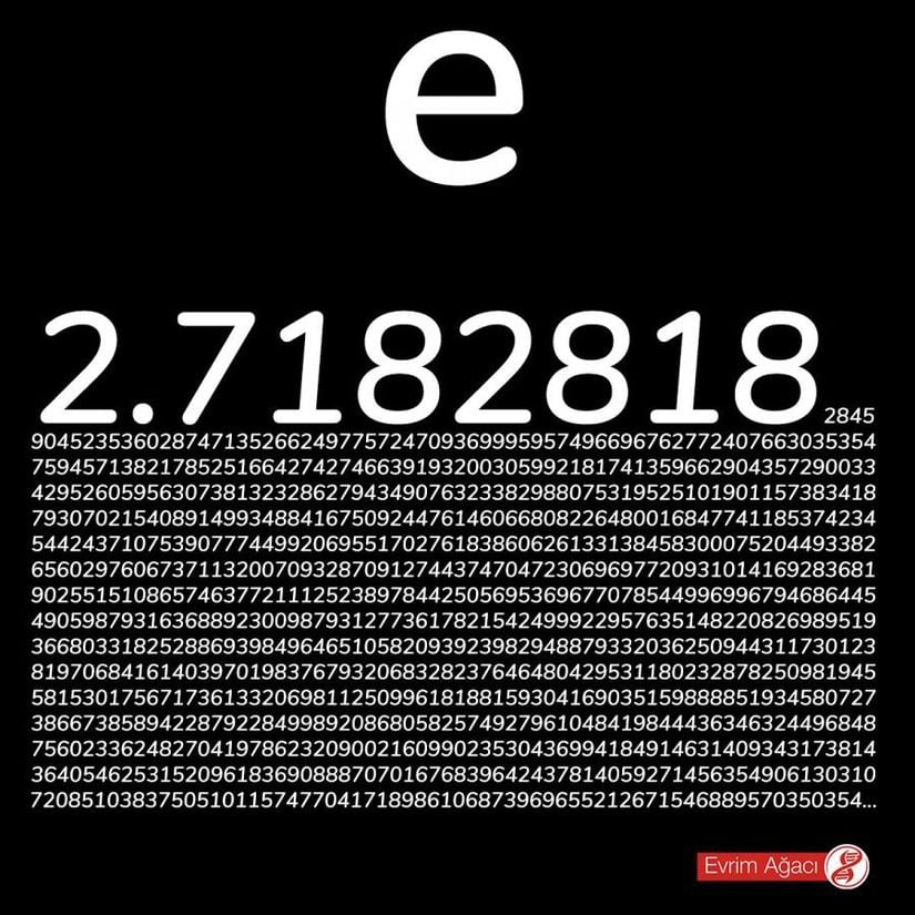 Euler Sayısı