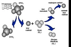 O2 O3 gibi ozon moleküllerini herhangi bir şekilde laboratuvar yardımıyla çoğaltıp tekrardan ozona gönderme şansımız var mı?