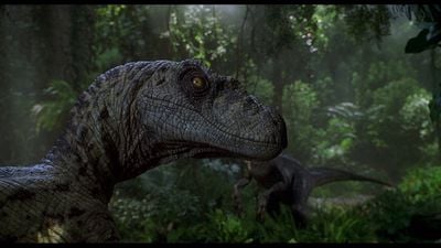 DNA Ne Kadar Süre Korunabilir? Jurassic Park Gerçek Olabilir Mi?