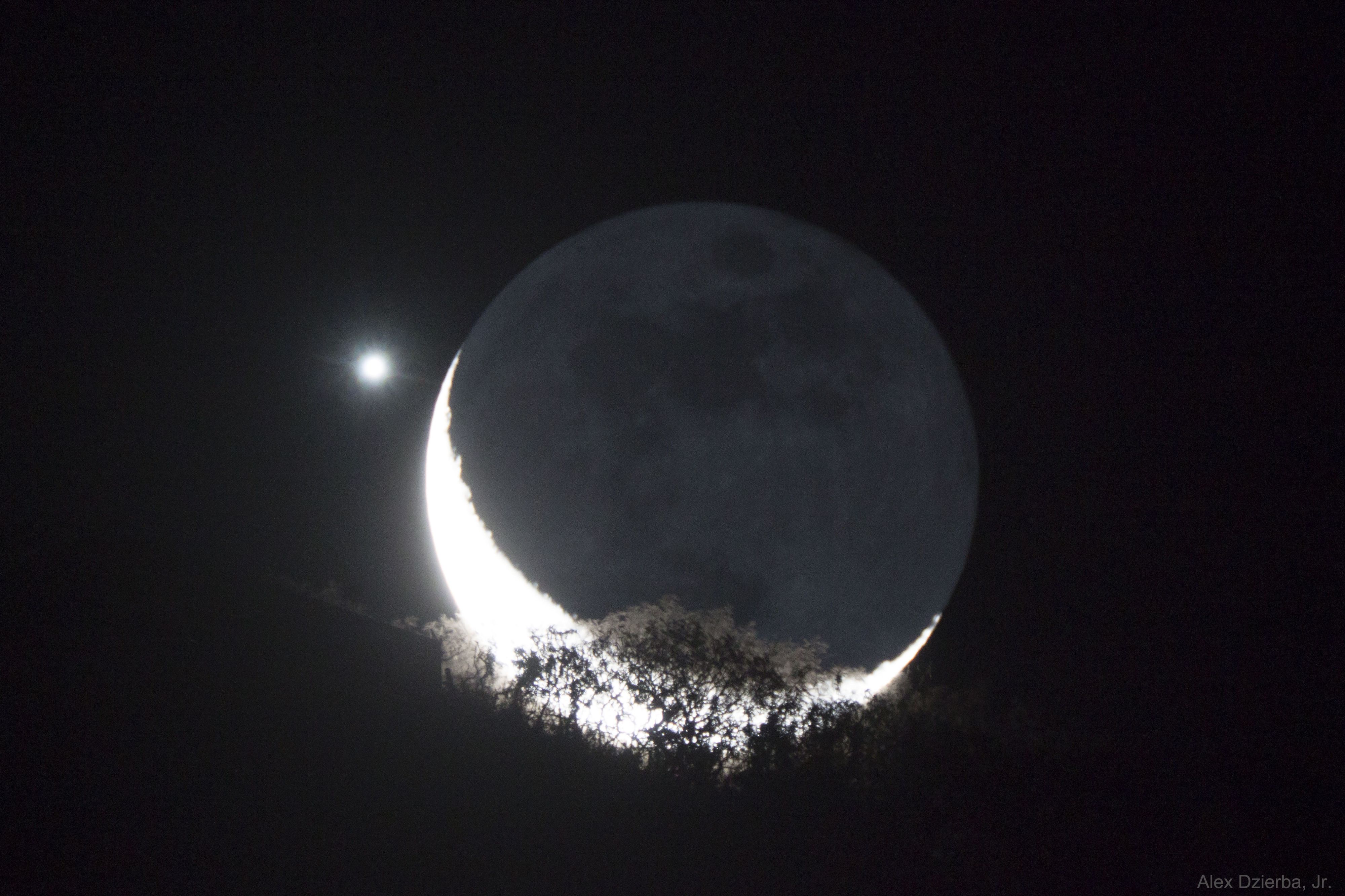  Moon and Venus Appulse over a Tree 