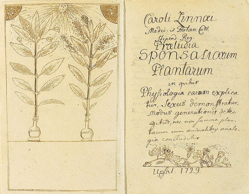 Carl Linnaeus'un bitkilerin üremesi üzerine yazdığı Praeludia Sponsaliorum Plantarum adlı tezi.
