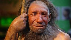 Neandertaller ile homosapiensler arasında süren savaşta neandertaller neden kaybetti ? Ve neden doğaya uyum sağlayamadilar?