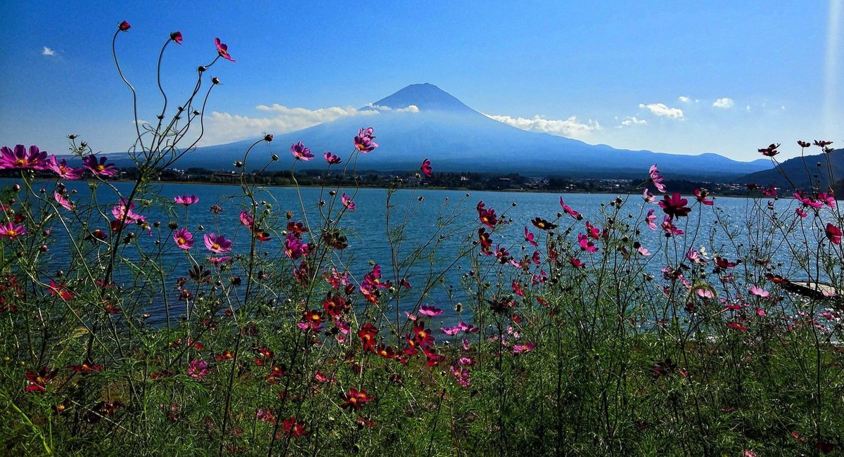 Japan Takes Down Mount Fuji Barrier To Foster Tourism Balance The