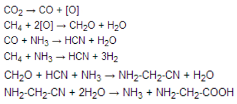 Miller-Urey Deneyi tepkime basamakları... Son basamaktaki son ürün glisin aminoasididir.