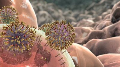 Grip Virüslerine Verilen H1N1, H5N1 Gibi Tuhaf İsimler Nereden Geliyor?