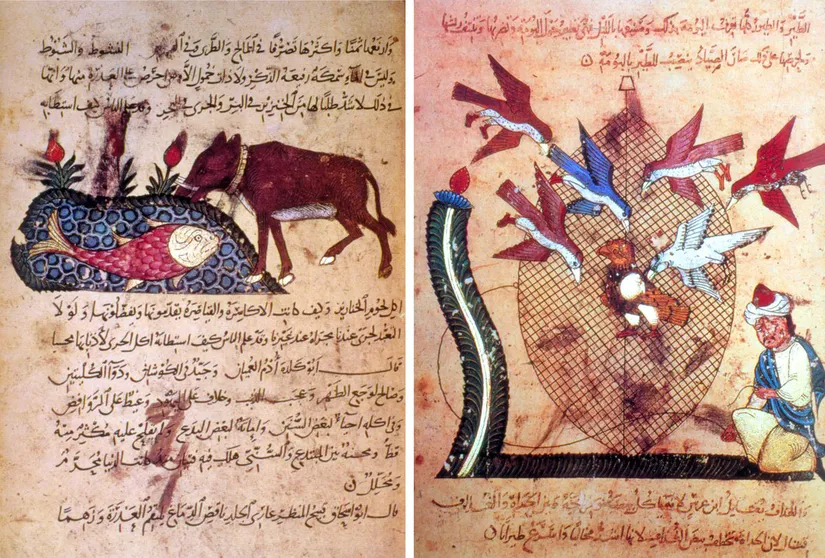 Kitâbü’l-Ḥayevân’ın minyatürlü iki sayfası