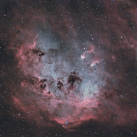  NGC 1893 and the Tadpoles of IC 410 