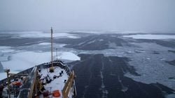 Rekor Kıran Kuzey Kutbu Fırtınasından Sonra Şaşırtıcı Deniz Buzu Kaybı