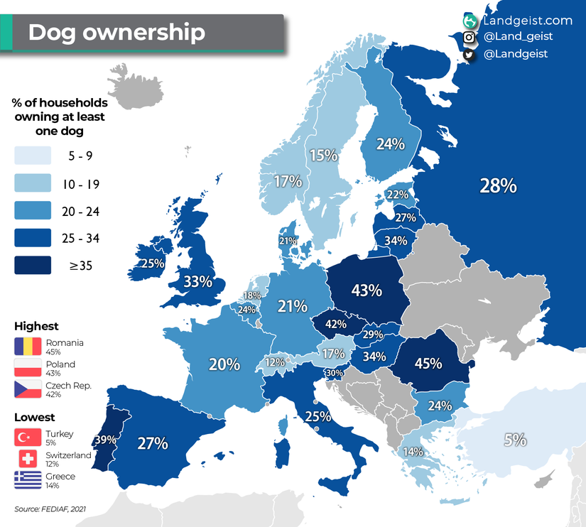 Türkiye'deki köpek sahipliği oranı, Avrupa'nın çok çok altında.