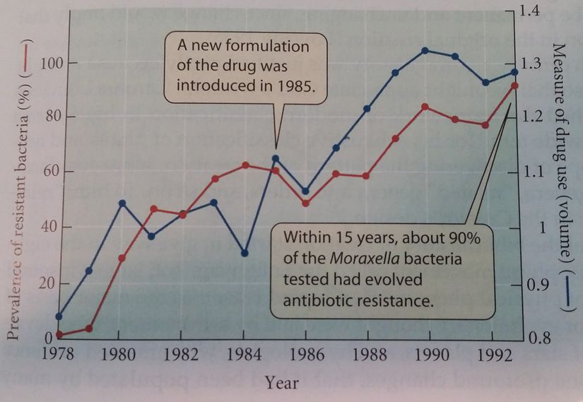 1978-1993 yılları arasında Finlandiya'da penisilin-benzeri antibiyotiklerin kullanımı ile antibiyotik direncinin evrimi arasındaki ilişki. Mavi renkteki çizgi, ilaç kullanımının hacimce artışını gösteriyor. Kırmızı olansa, bu ilaçlara karşı dirençli olan bakterilerin popülasyon içerisinde bulunma sıklığını % olarak gösteriyor. 1985 yılında yeni bir ilacın kullanılmaya başlamasından hemen sonraki yılda ani bir düşüş olduğuna dikkat ediniz. Ancak buna rağmen, sadece 15 yıl içerisinde Moraxella cinsi bakterilerin %90 civarı bu ilaca karşı direnç kazanacak şekilde evrimleşti!