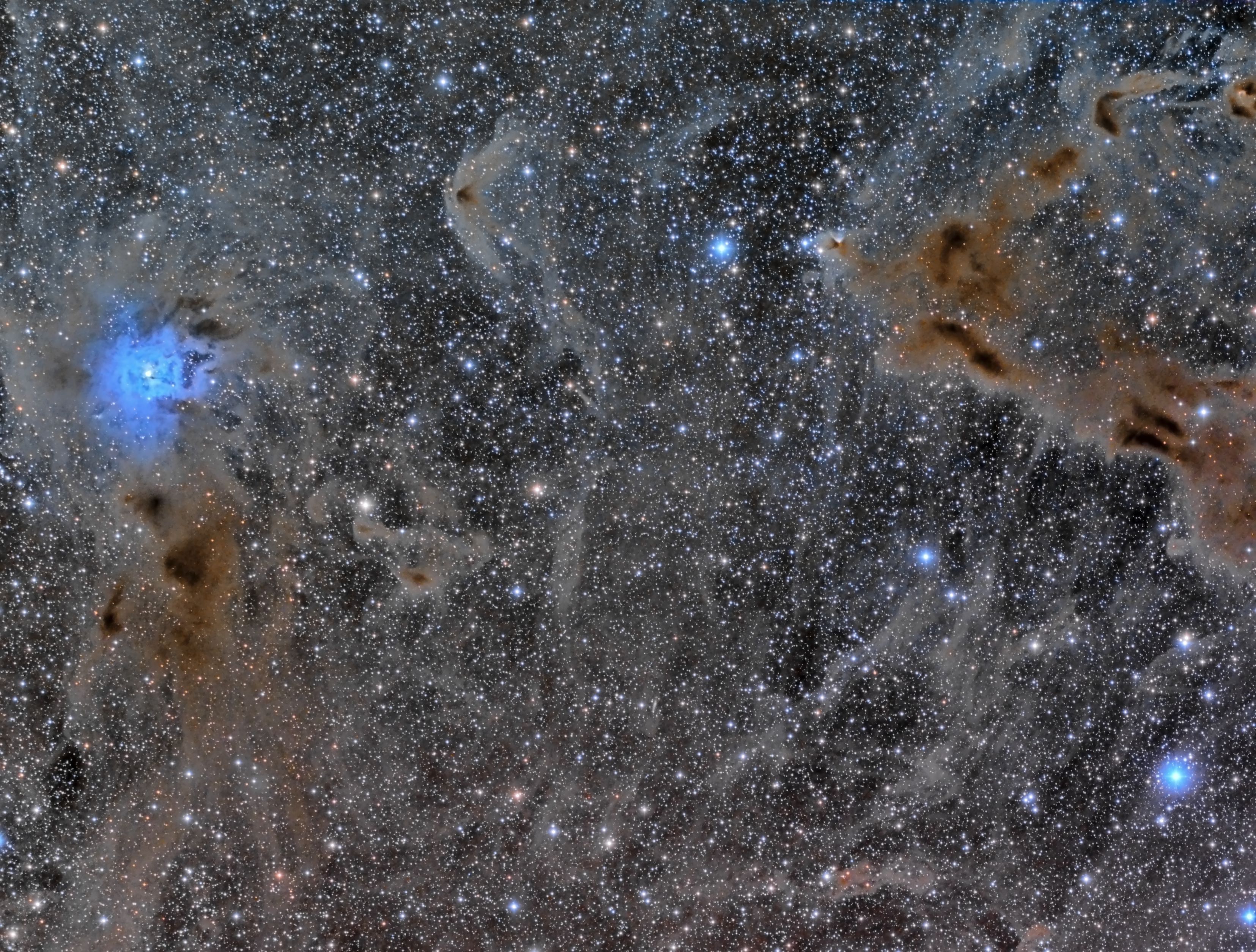  The Iris Nebula in a Field of Dust 