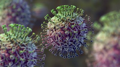 Enfeksiyon Dozu (ID50) ve Ölümcül Doz (LD50) Nedir? Hasta Olmak İçin Kaç Tane Virüs Bulaşmalı?