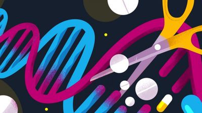 Kana Enjekte Edilen CRISPR, İlk Kez Genetik Bir Hastalığı Tedavi Etti!