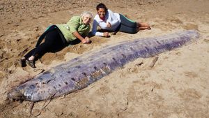 Rare Oarfish Washes Ashore Off California Coast