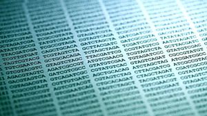 Genomik Dilin Karmaşık Gramer Yapısı: İnsan Genomundaki 3 Milyar Nükleotiti Nasıl Okumalıyız?