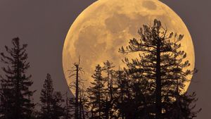 August Brings Stunning Supermoon Blue Moon