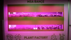 Plant Factory: Tarımın Geleceği