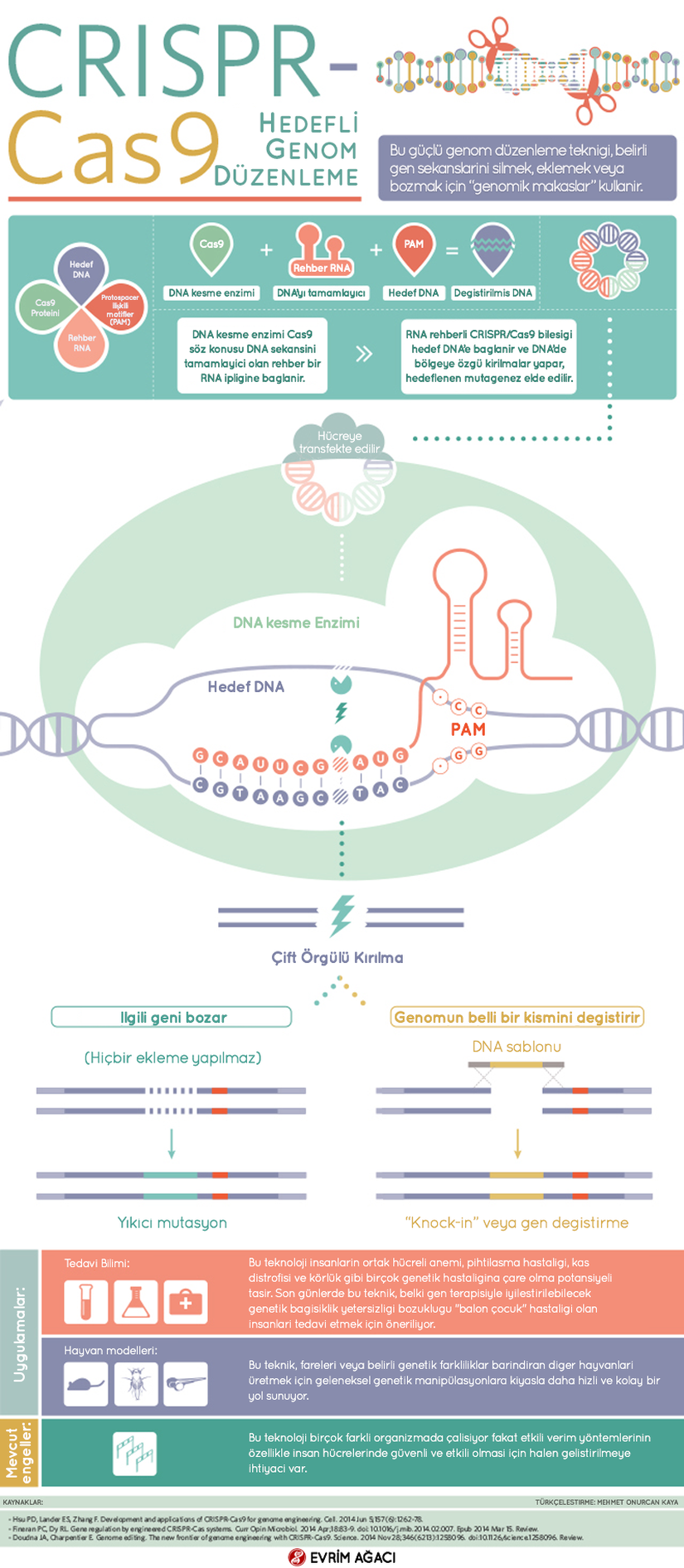 2010'lu yıllarda temelleri atılıp, 2013'ten itibaren tüm Dünya'yı kasıp kavuran CRISPR-Cas9 sistemini kullanarak gen düzenleme teknolojisi, bugüne kadar insanlığın keşfetmiş olduğu en etkili, en hızlı, en başarılı genom değiştirme yöntemlerinden birisidir.