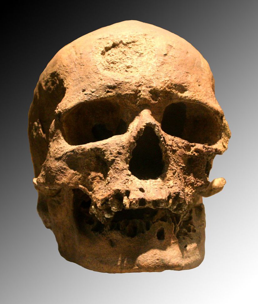 Cro-Magnon Adamı kafatası