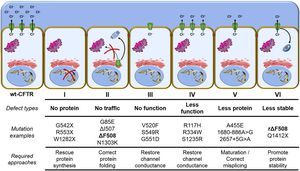 How CFTR Modulators Are Revolutionizing Cystic Fibrosis Treatment