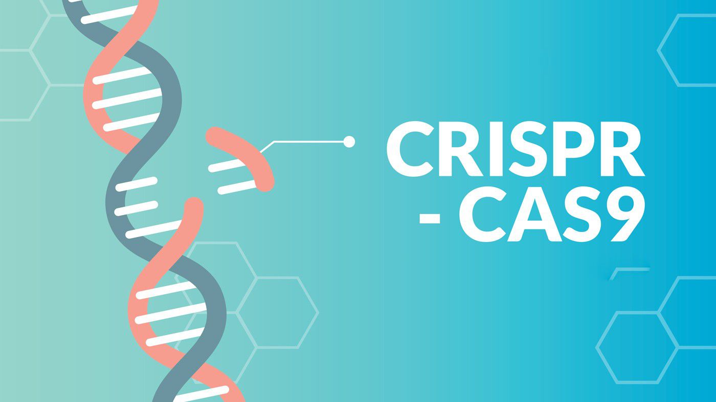 CRISPR Gen Düzenleme Yöntemi Nedir? CRISPR-Cas9 Sistemini Kullanarak  Genleri Nasıl Düzenleriz? - Evrim Ağacı