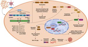 Can Viruses Make You Fat? Insights from a Groundbreaking Study on Ad-36